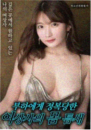 汪汪队动画片免费-汪汪队全集